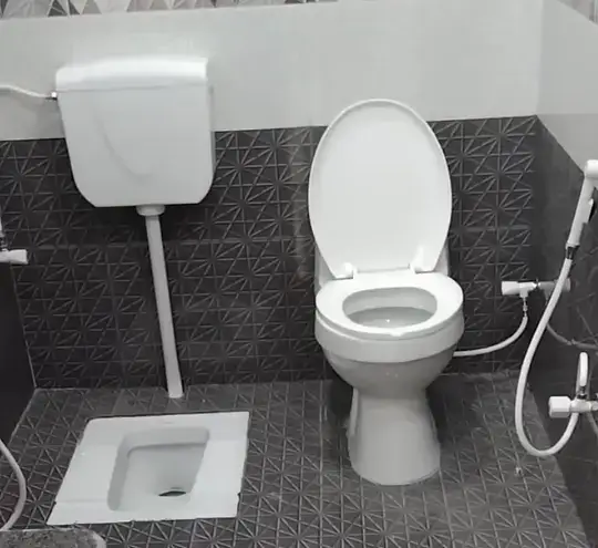 toilet drain cleaning